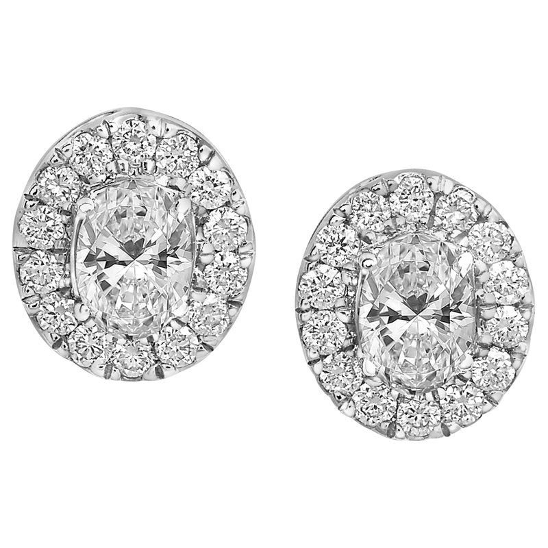 14KT Gold Lab Grown Diamond Oval Halo Studs